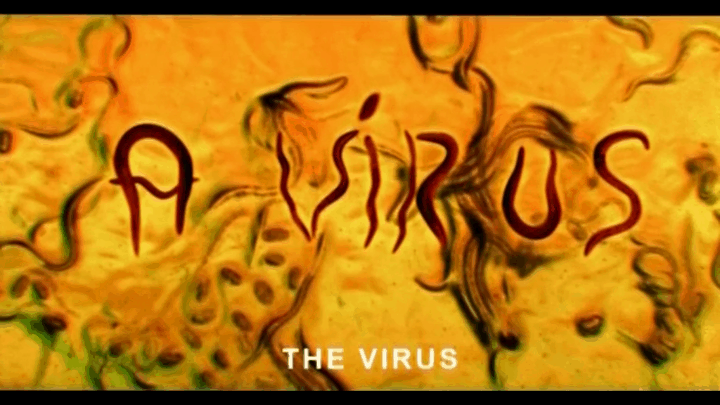 The Virus Ágnes Kocsis