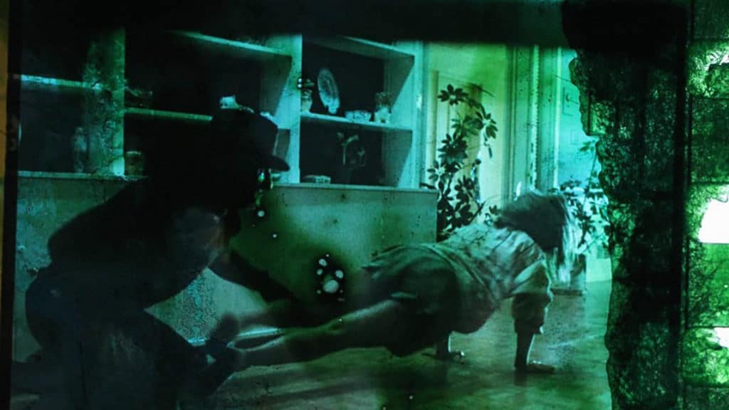 The Philosophy of Horror A Symphony of Film Theory Film Still 3 The Philosophy of Horror Péter Lichter