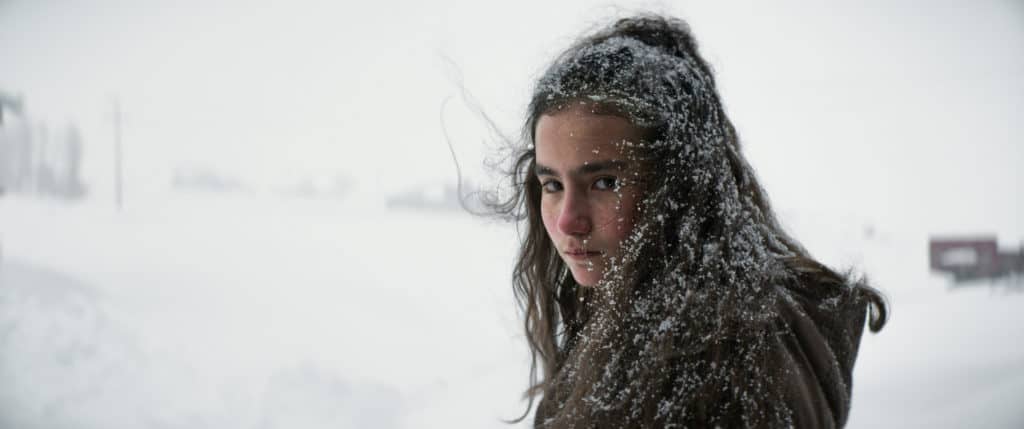 About Dry Grasses Nuri Bilge Ceylan