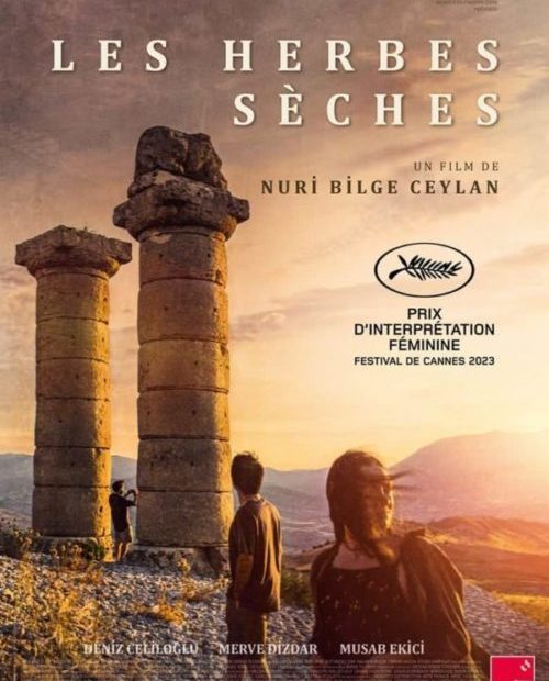 About Dry Grasses Nuri Bilge Ceylan